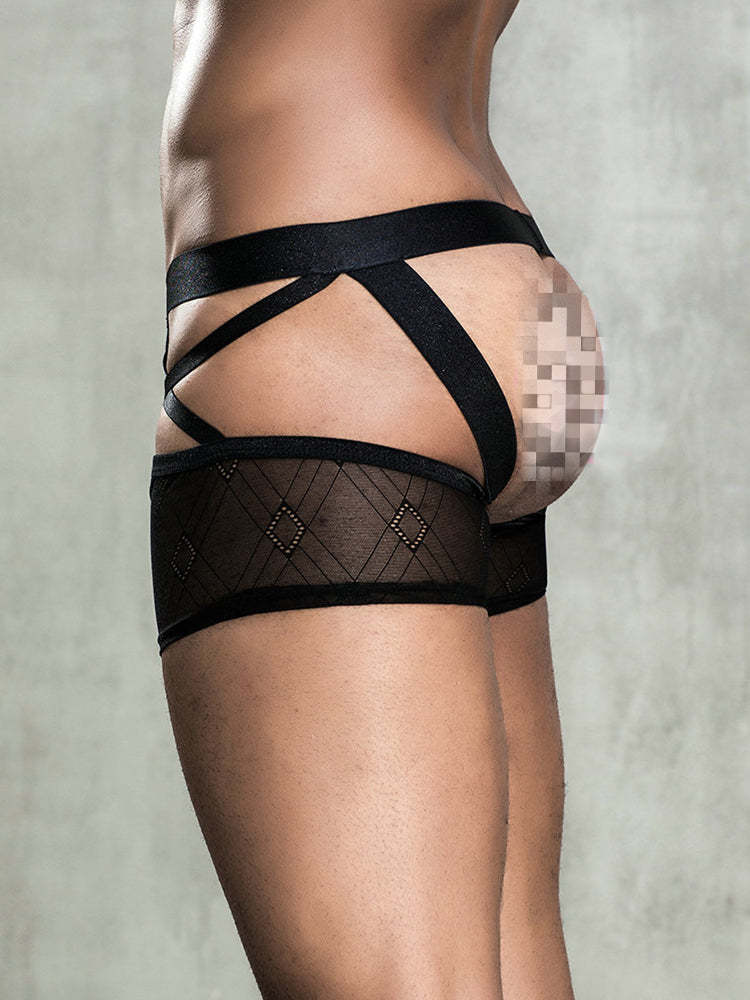 BLACKRISS™Sexy See-through Men's Erotic Boxer Briefs-Blackriss