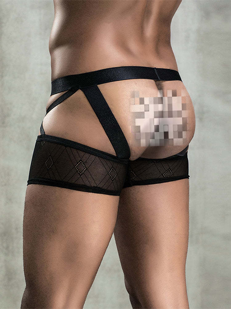 BLACKRISS™Sexy See-through Men's Erotic Boxer Briefs-Blackriss