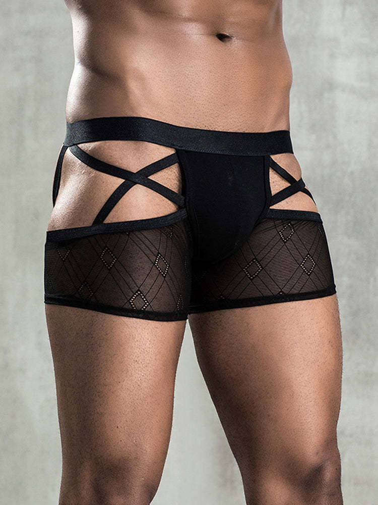 BLACKRISS™Sexy See-through Men's Erotic Boxer Briefs-Blackriss