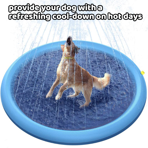 SplashPad-Refreshing Dog Sprinkler Pad