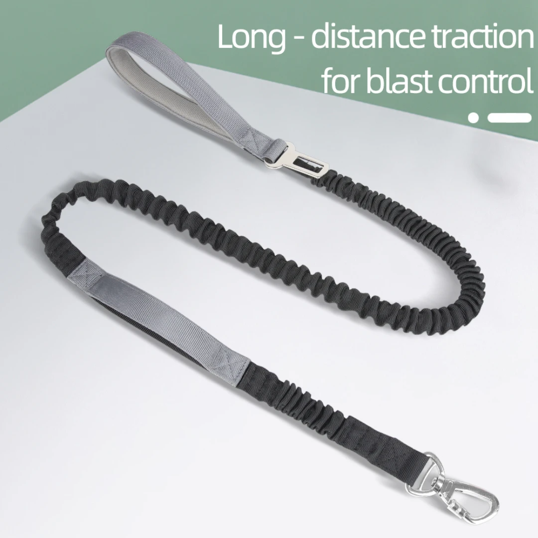 Multi-functional Dog Leash