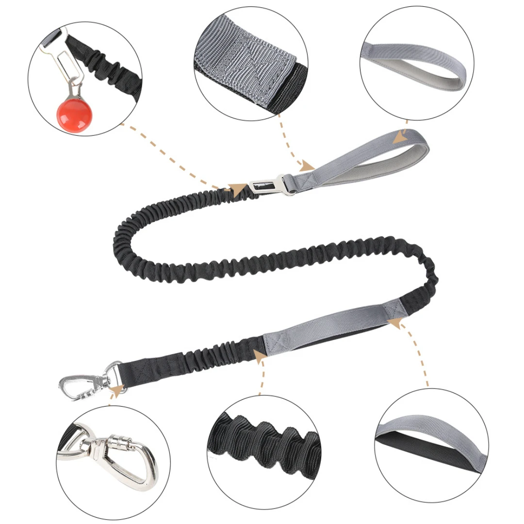 Multi-functional Dog Leash