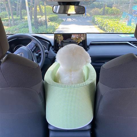 Pet Carpool Seat Ⅱ