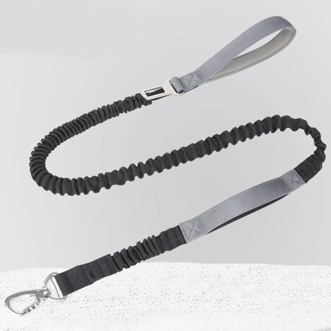 Multi-functional Dog Leash