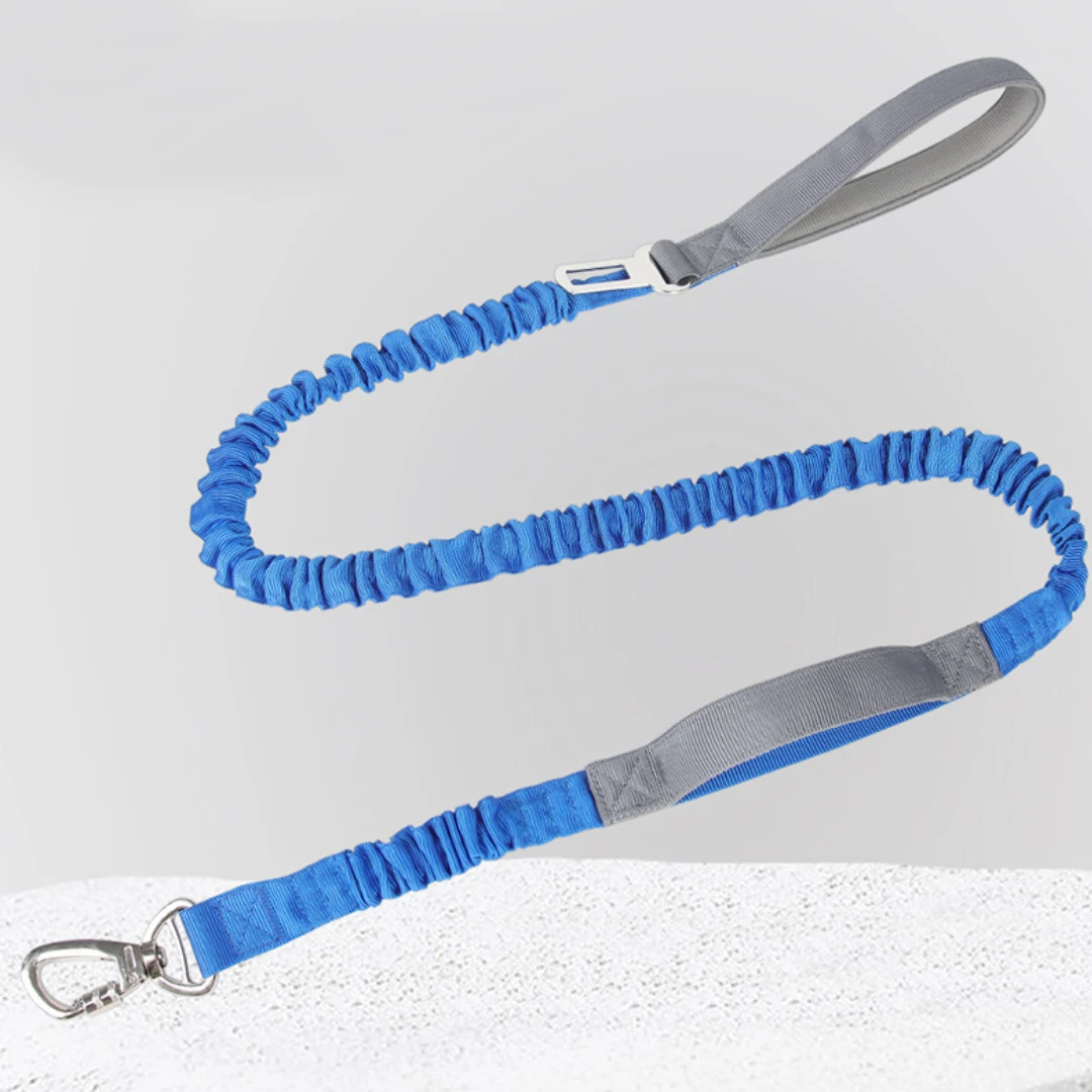 Multi-functional Dog Leash