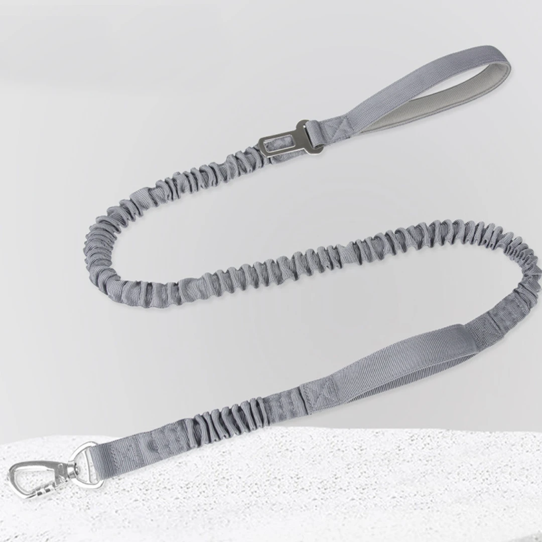 Multi-functional Dog Leash