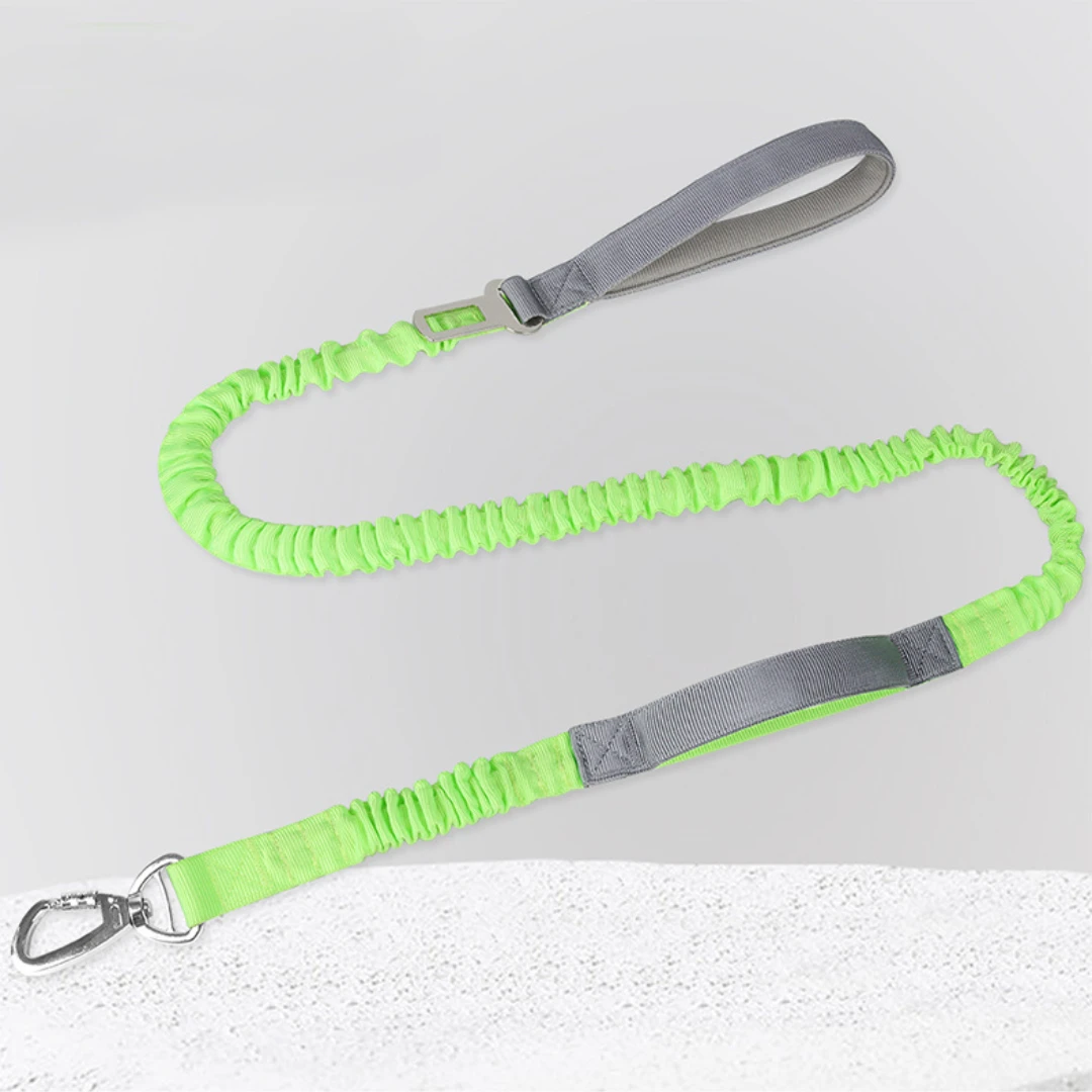 Multi-functional Dog Leash