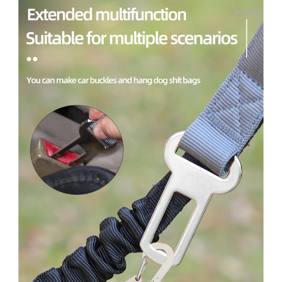 Multi-functional Dog Leash