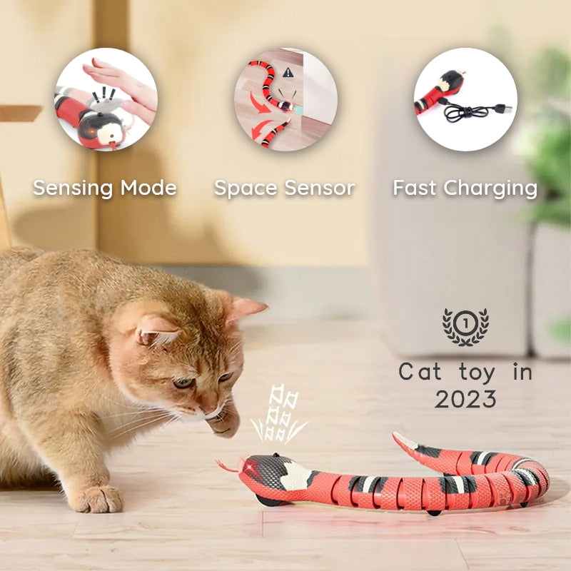 Smart Snake Toy