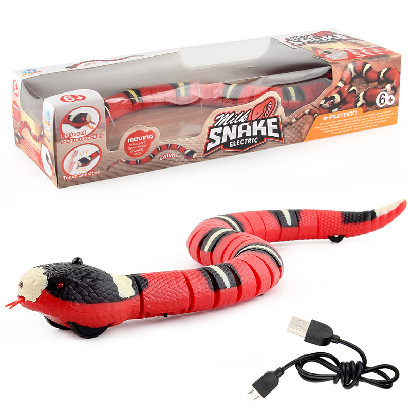 Smart Snake Toy