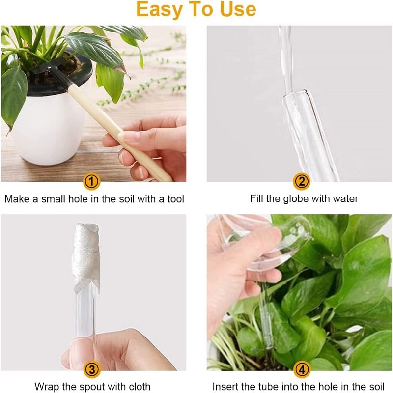 SelfWatering Plant Glass Bulbs