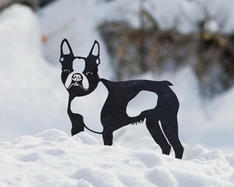 Boston Terrier Metal Silhouette