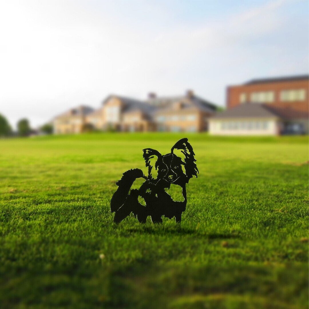 Papillon Metal Silhouette