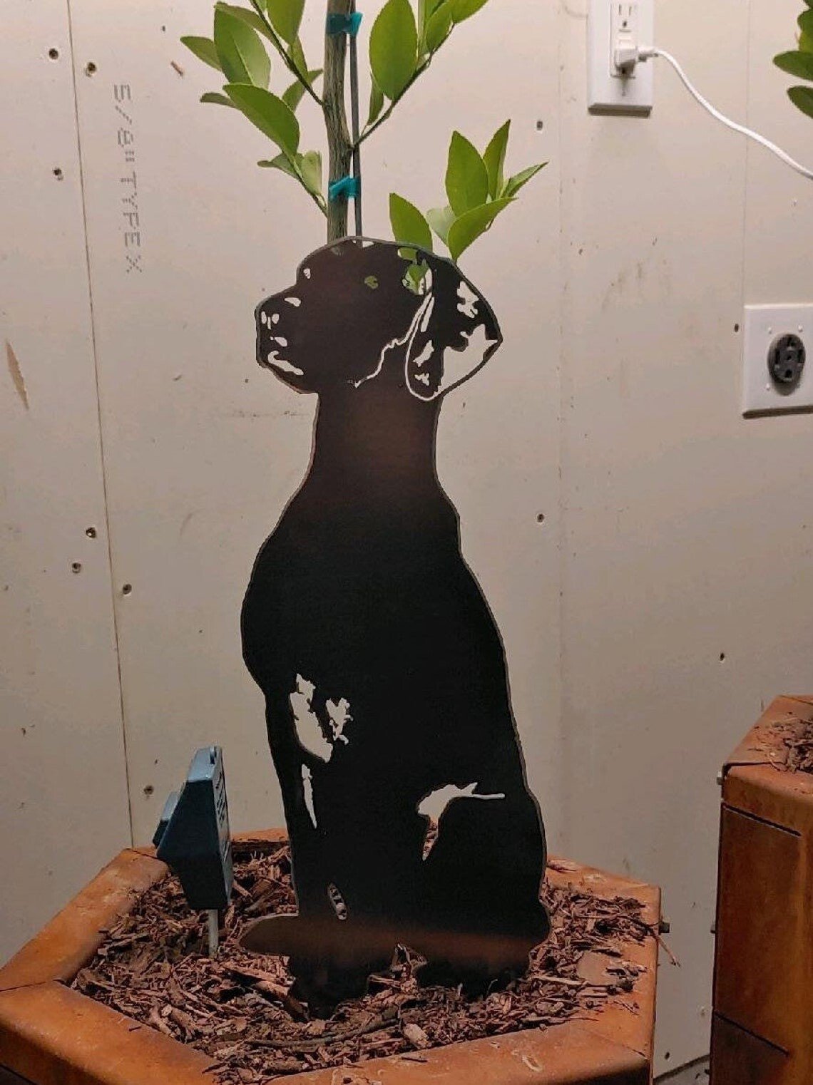 Vizsla Metal Silhouette