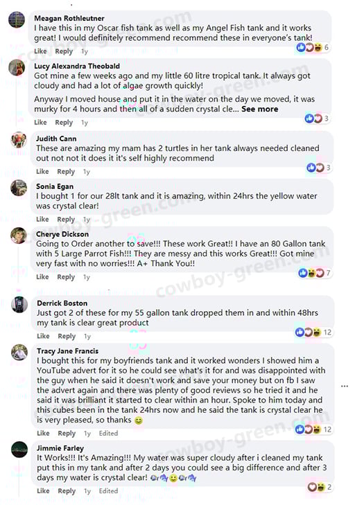 🔥LAST DAY 50 OFF 🔥Horse Trough Water Purifier Cube