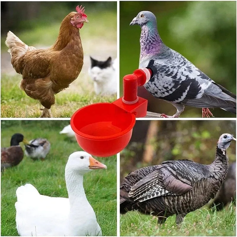 🔥Last Day 50% OFF🔥Automatic Chicken Water Cup Bird Coop