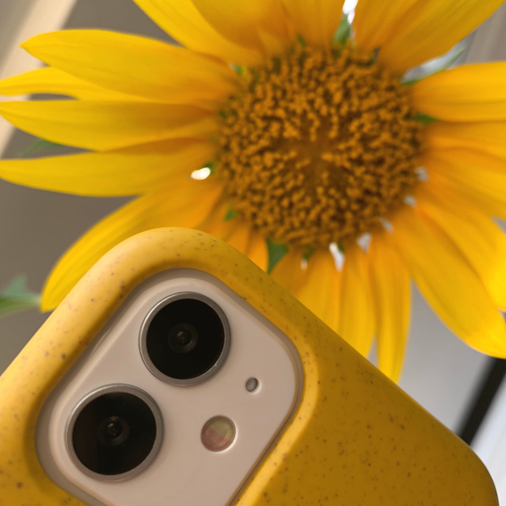 Eco Vegan 100% Biodegradable Phone Case | OFCase086