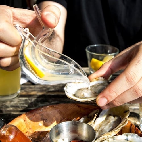 🎅Early Christmas Sales 48% OFF🎁Small Bird Shape Transparent Manual Juicer - Lemon Slice Squeezer