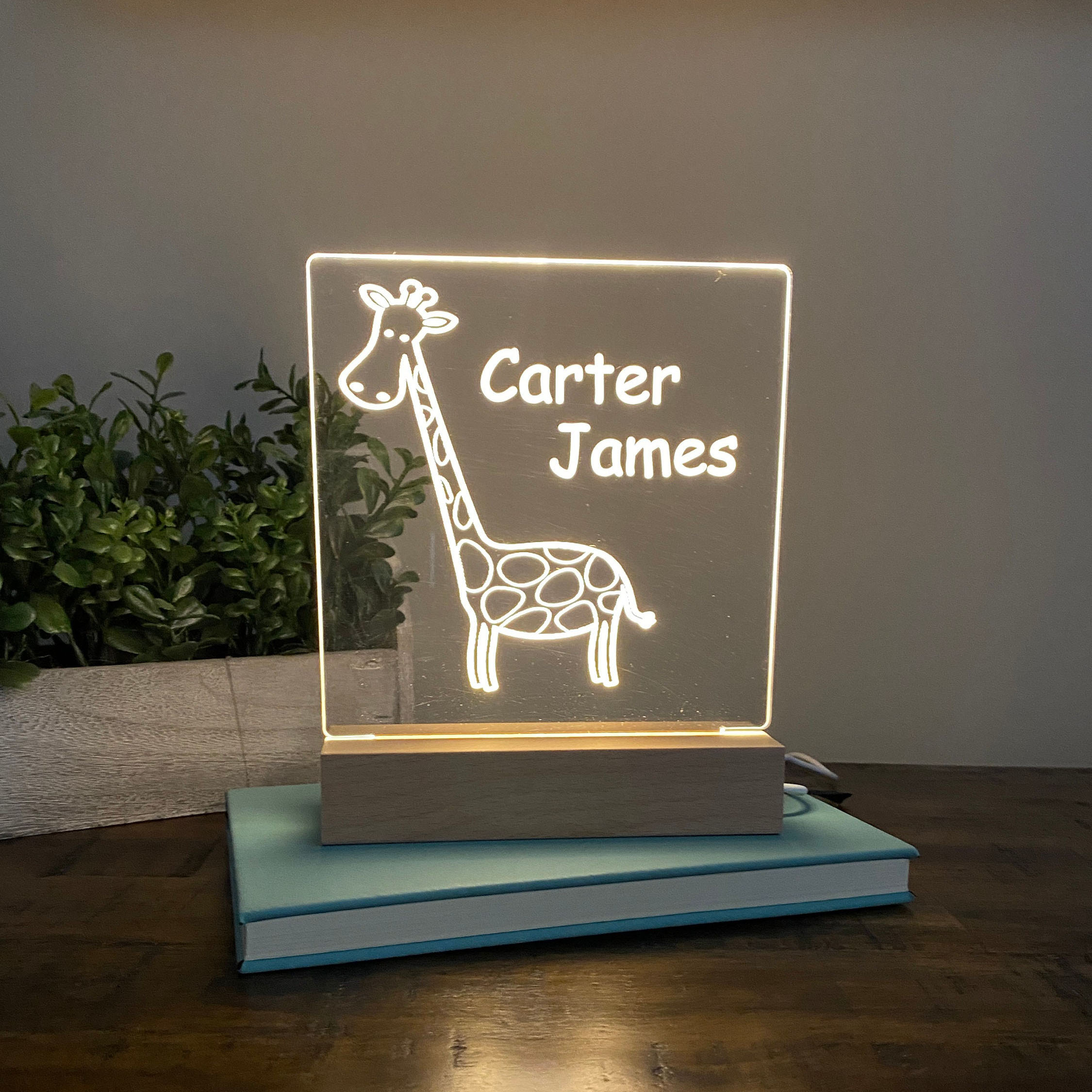 Giraffe Night Light