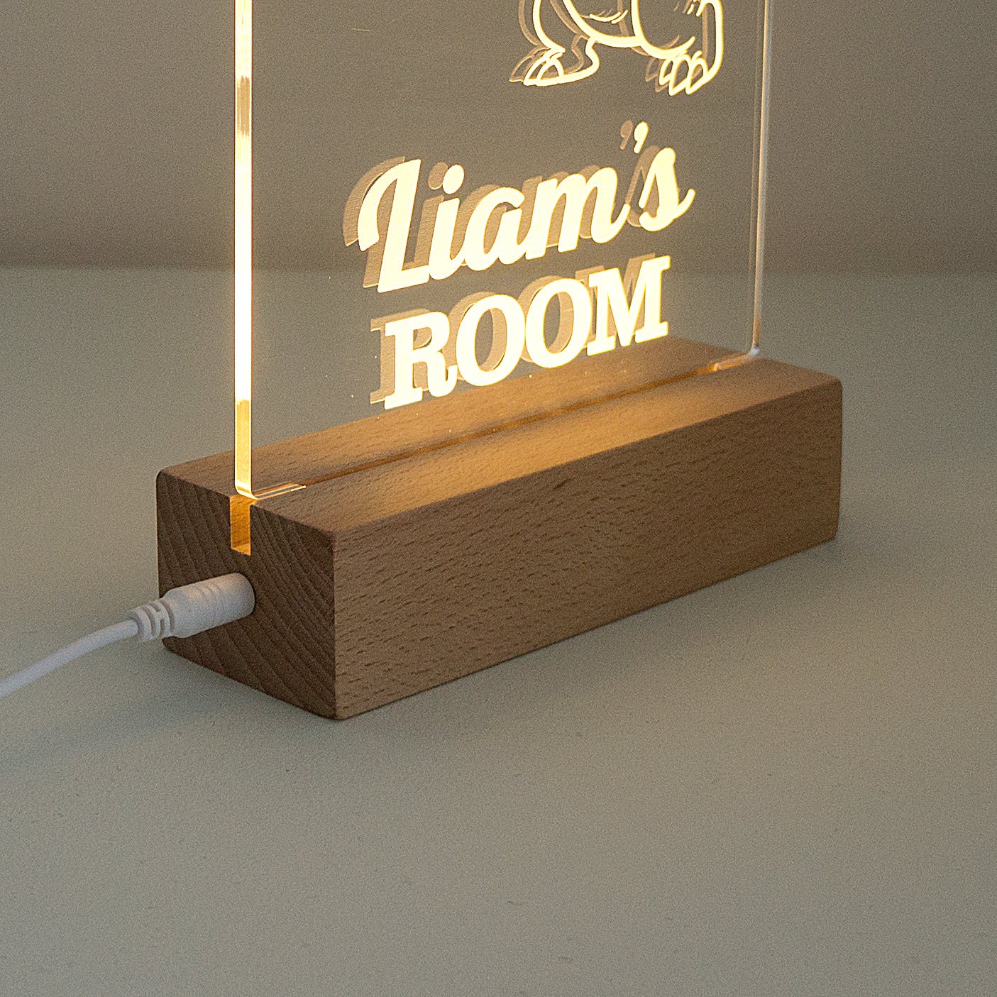 Personalised dinosaur name sign