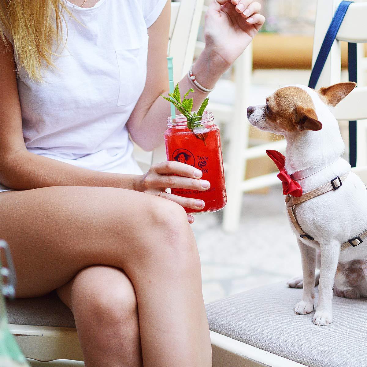 Wholesale Collapsible Silicone Straws Reusable Drinking Straw with Portable Case and Brush