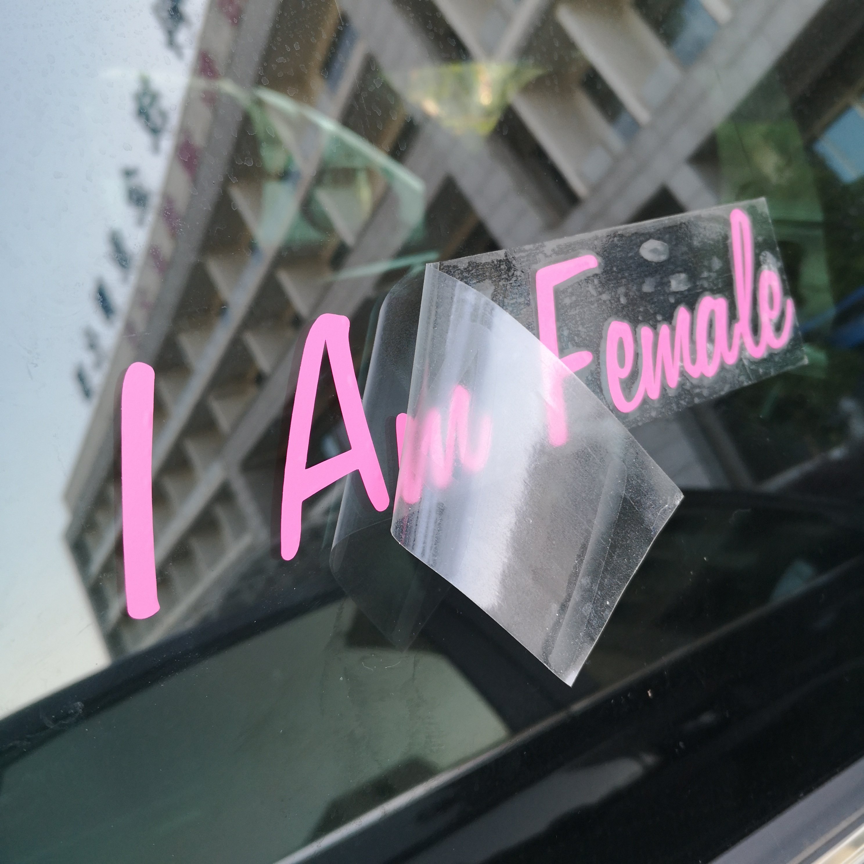 Custom Die Cut PVC Stickers Printing Transfer Sticker With Logo