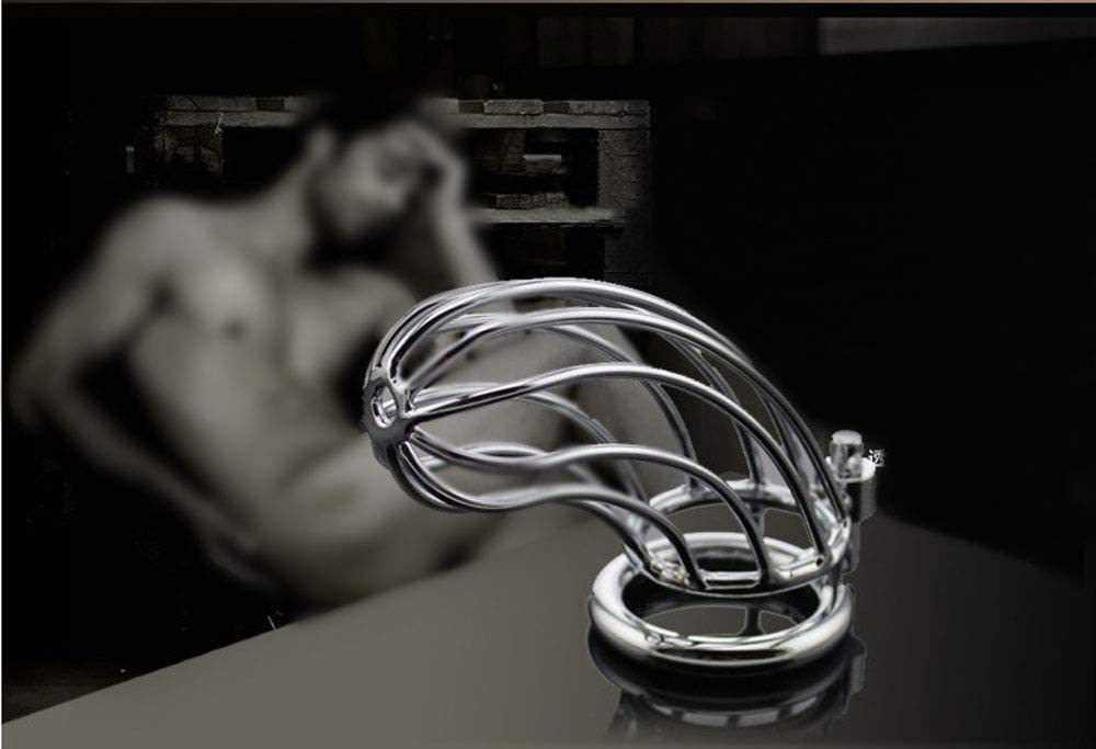 Male Chastity Device Cock Cage Steel Metal Silver Locked Cage Sex Toy for Men (3 Rings), Lock and 2 Keys Included