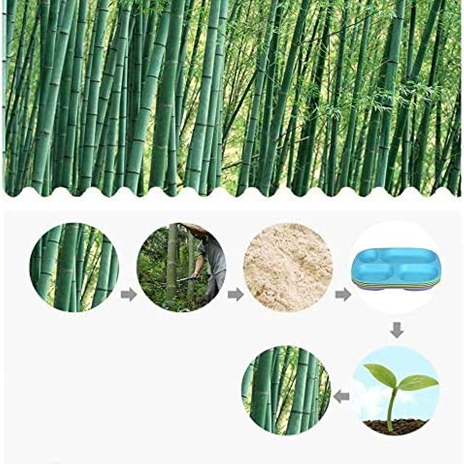 Shopwithgreen Bamboo Kids Divided Plates Set 9.4 inch 4 pcs-shopwithgreen