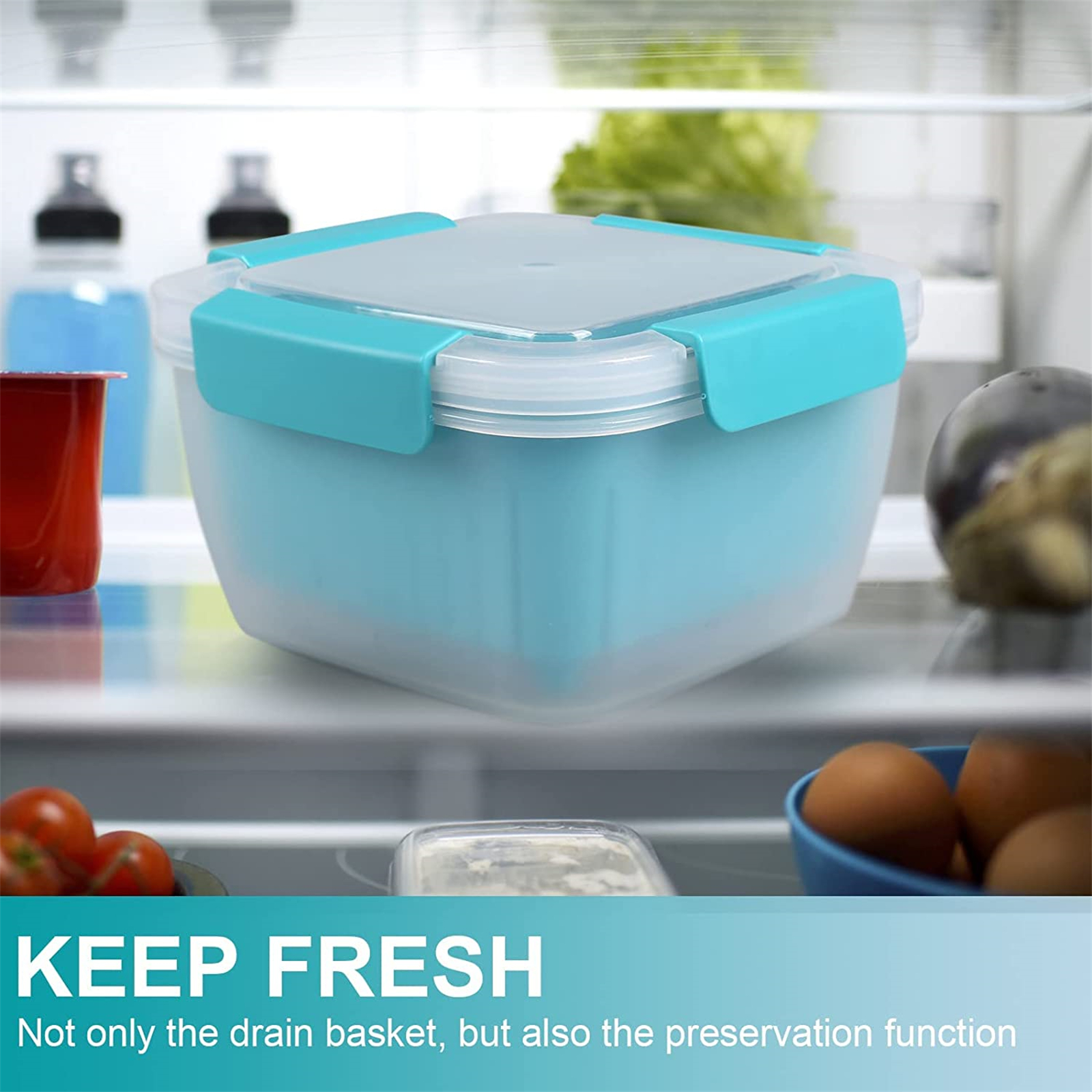 Shopwithgreen Berry Keeper Box Containers 52oz - Lake Blue-shopwithgreen