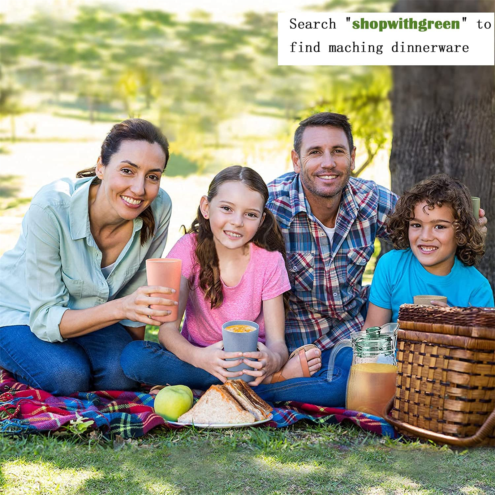 Shopwithgreen Wheat Straw Plastic Plates - 6pcs 10 inch Pale Blush-shopwithgreen