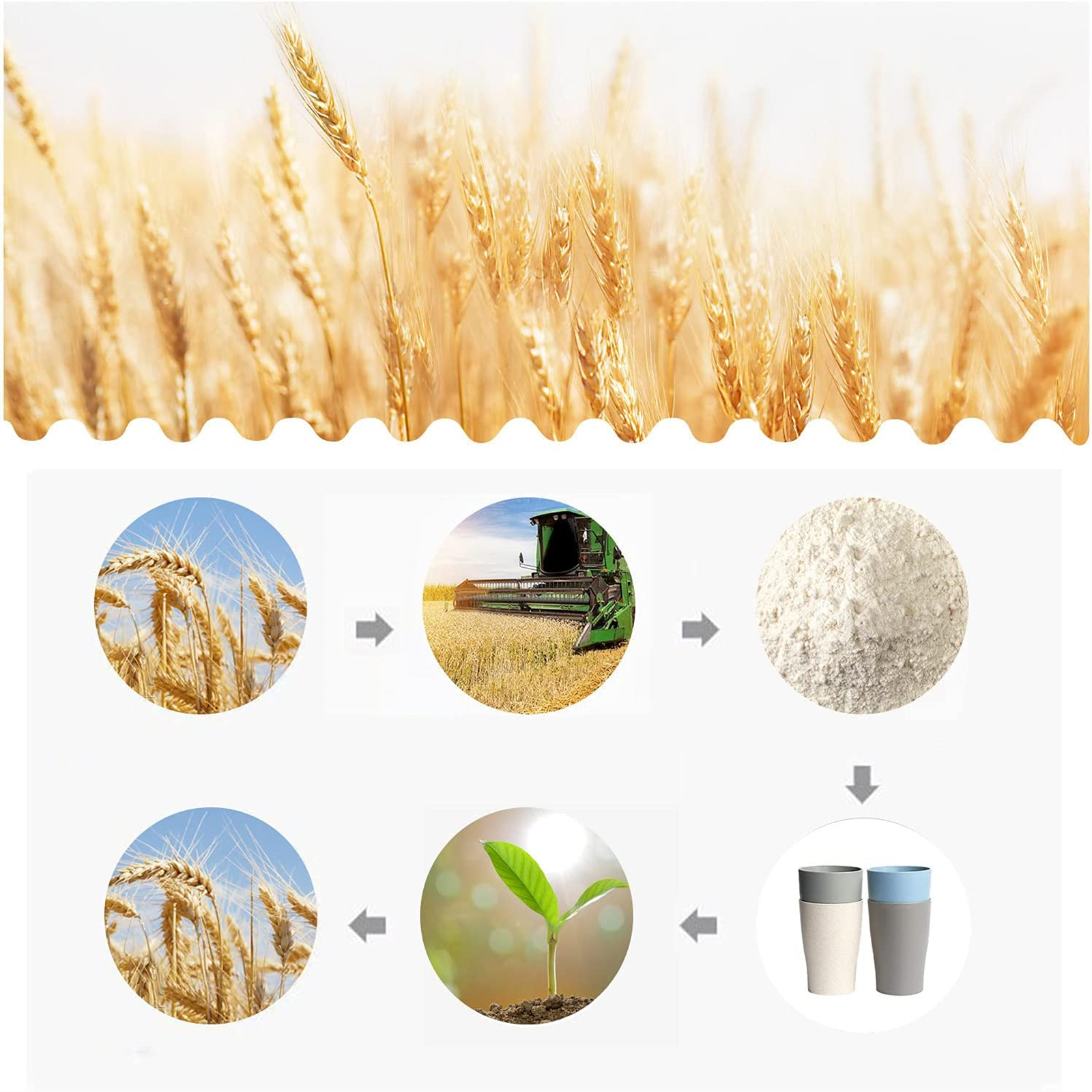 Shopwithgreen Wheat Straw Drinking Cups - 4pcs 13.5 OZ Coastal-shopwithgreen