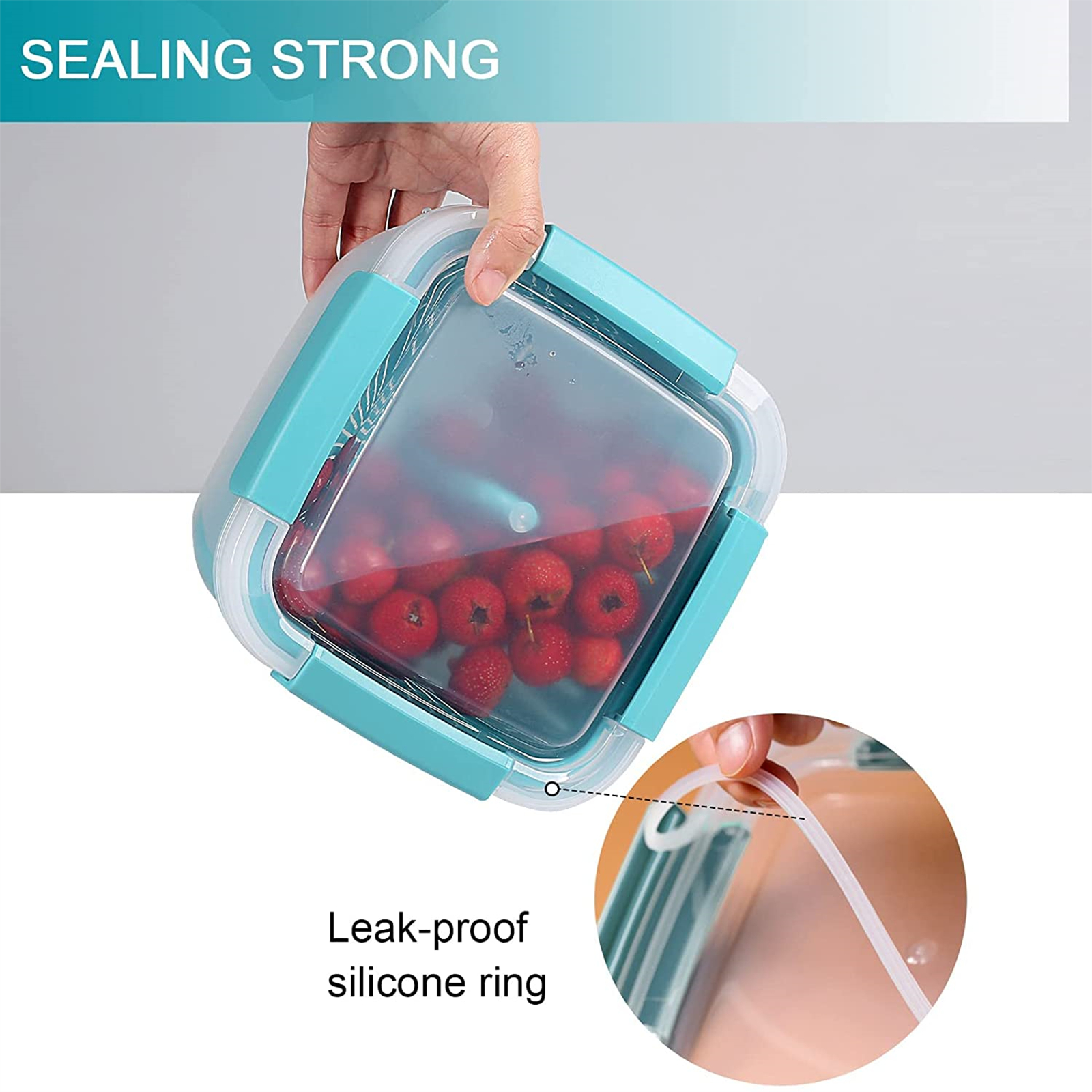 Shopwithgreen Berry Keeper Box Containers 52oz - Lake Blue-shopwithgreen