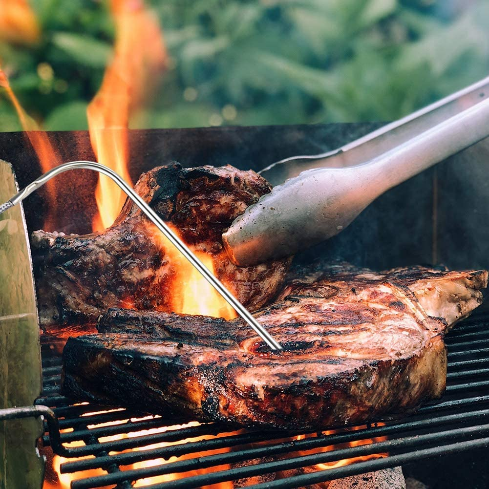 Green Mountain Grill meat probe