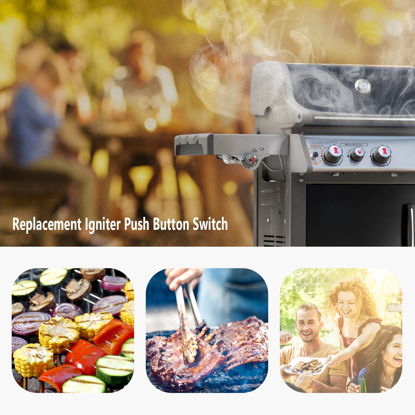 weber grill ignition switch