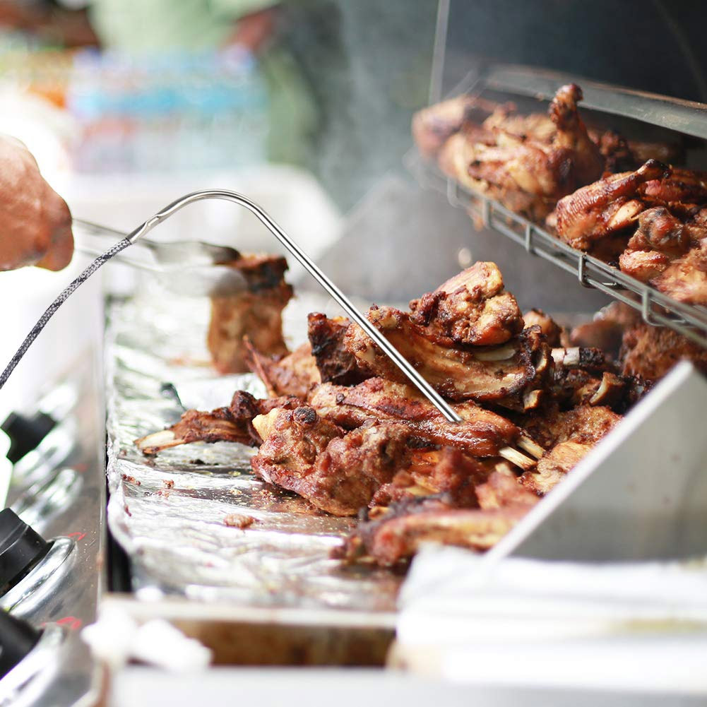 traeger thermometer probe