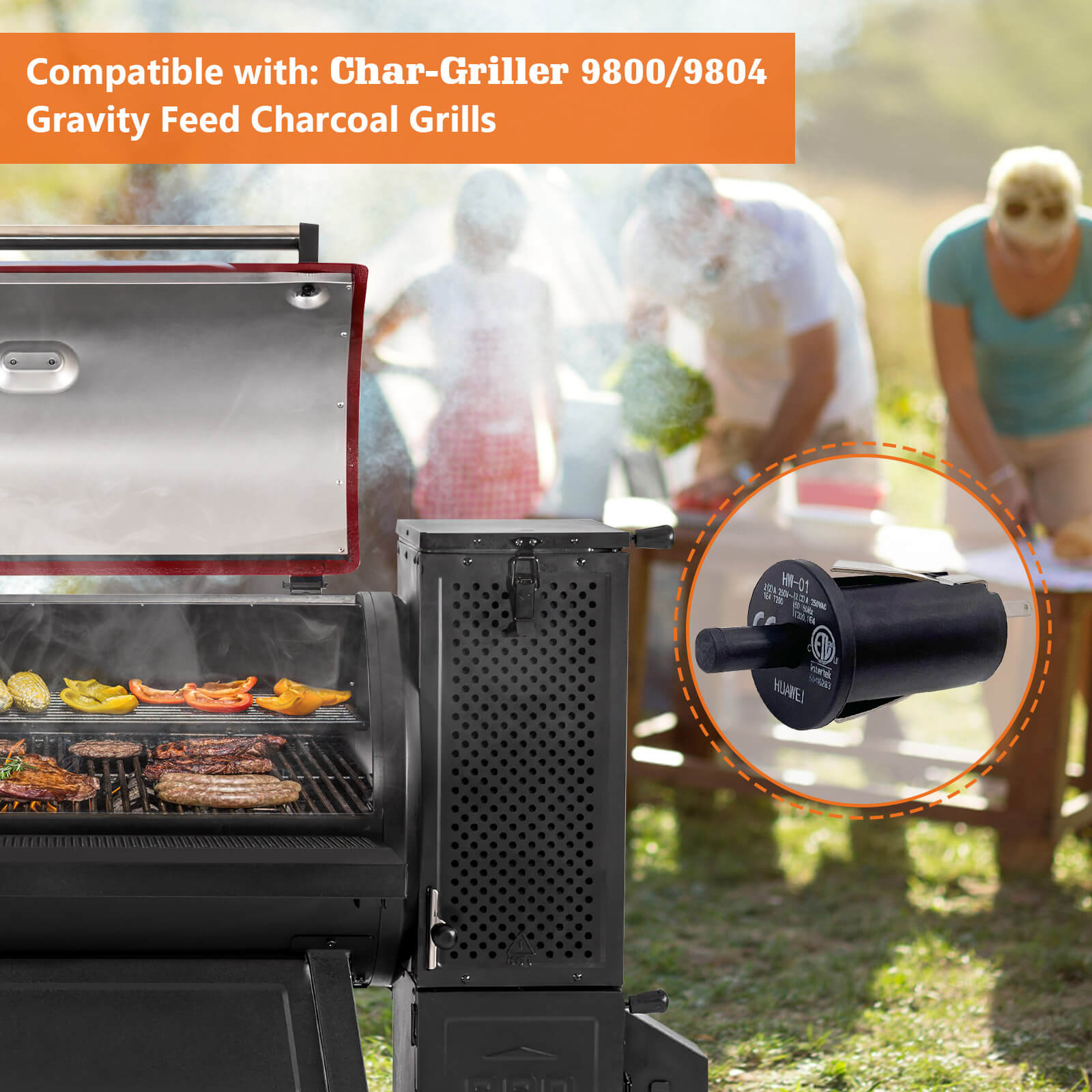 Ash Pan Door Switch Replacement 
