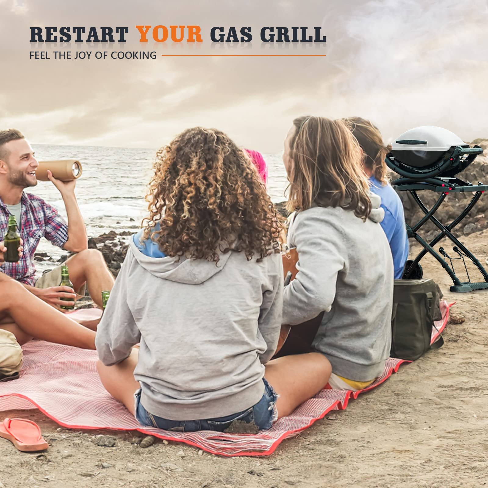 weber grills igniter kit