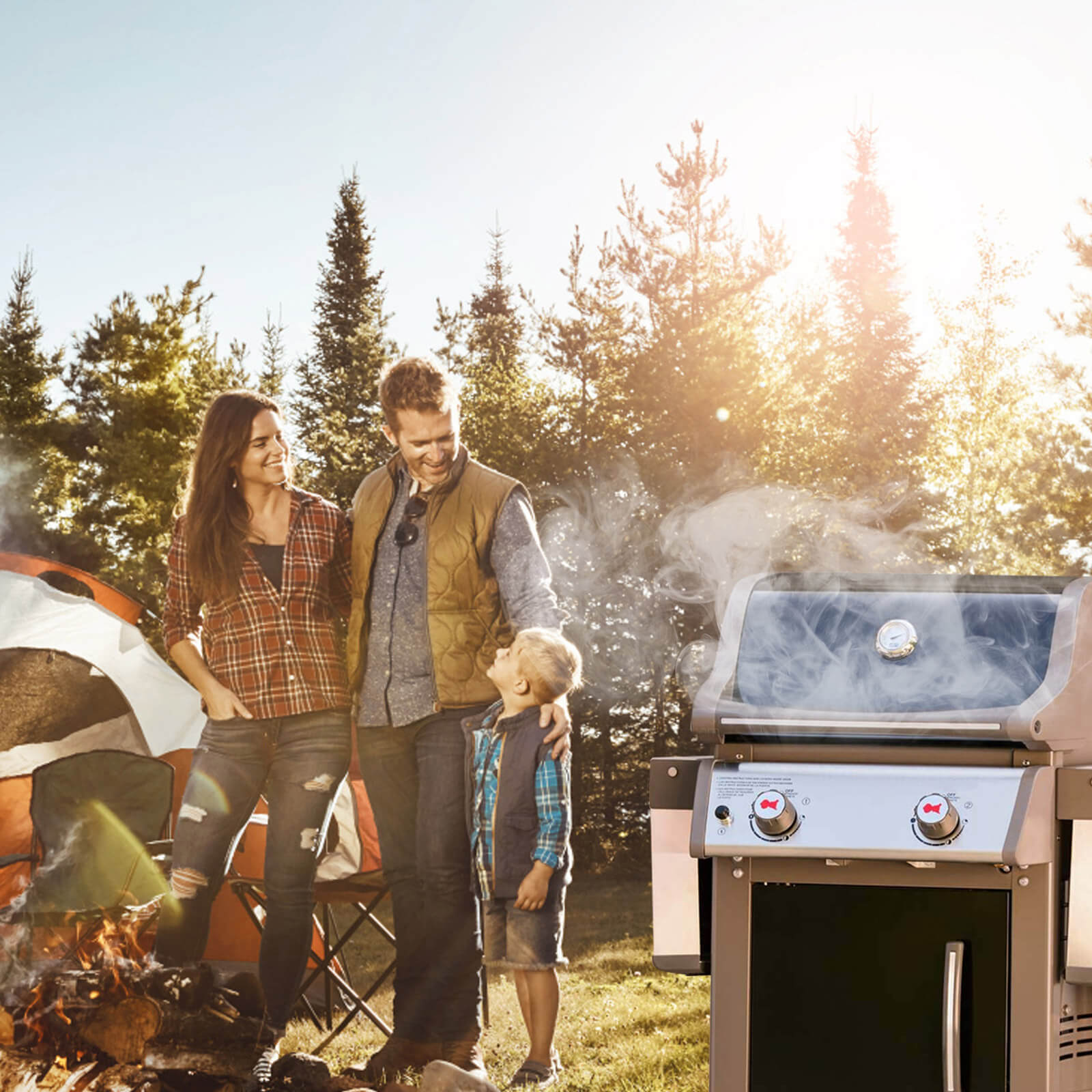 weber push button igniter