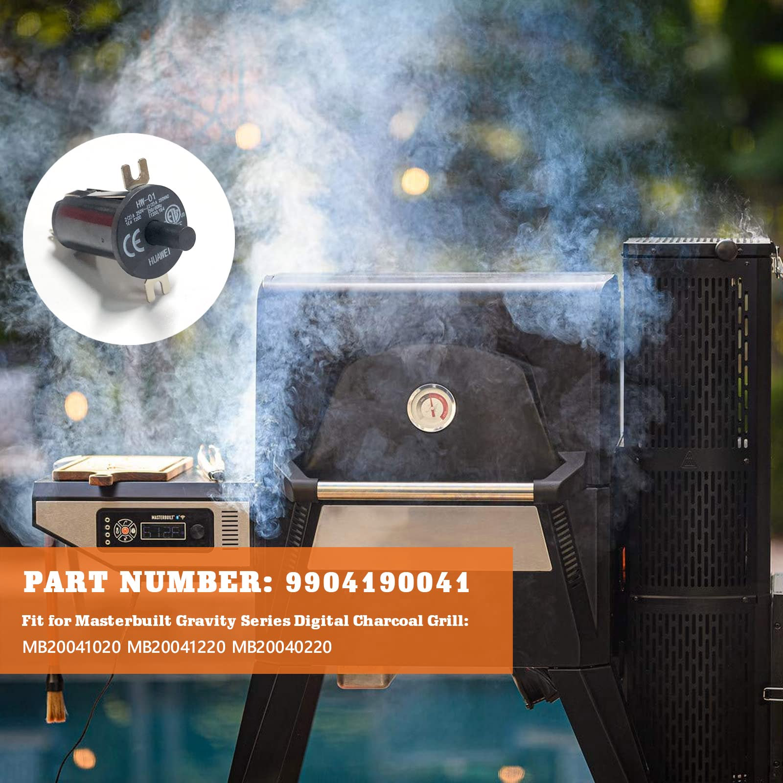 Masterbuilt door switch