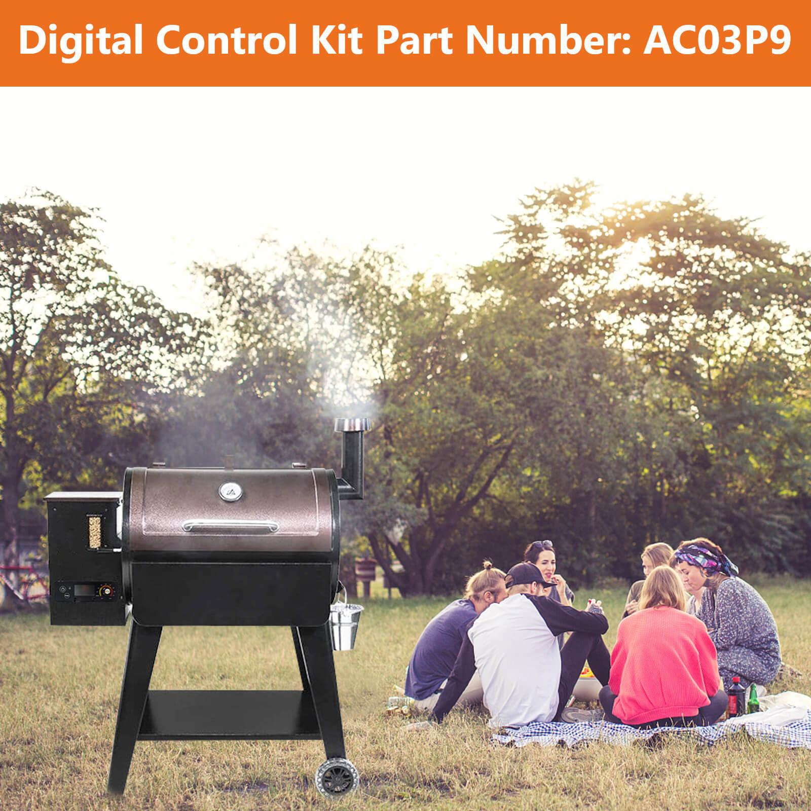 pit boss replacement controller