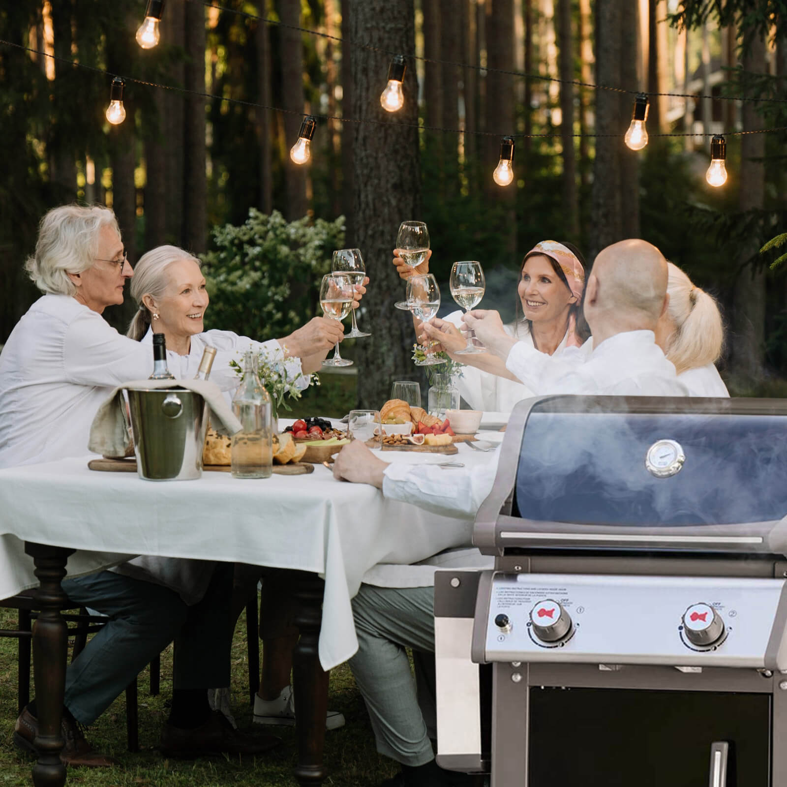 weber grill ignition button