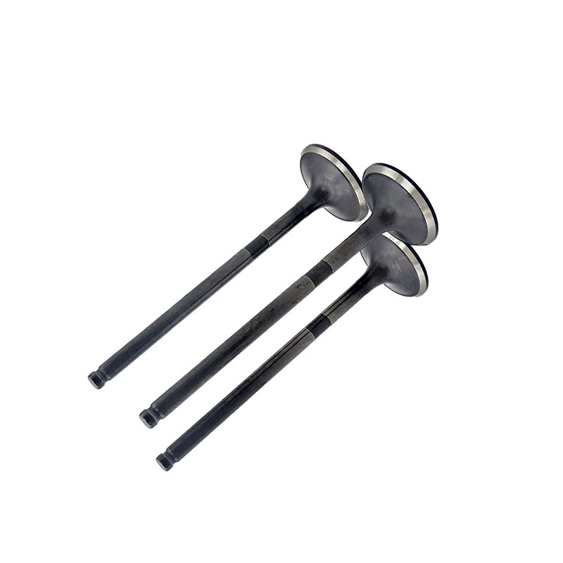 Suitable for Toyota Camry(2.4L) 2002-2011) Highlander(2.4L) 2002-2007 Solara(2.4L) 2002-2006 RAV4(2.4L) 2002-2005 Exhaust Valve （8PCS）