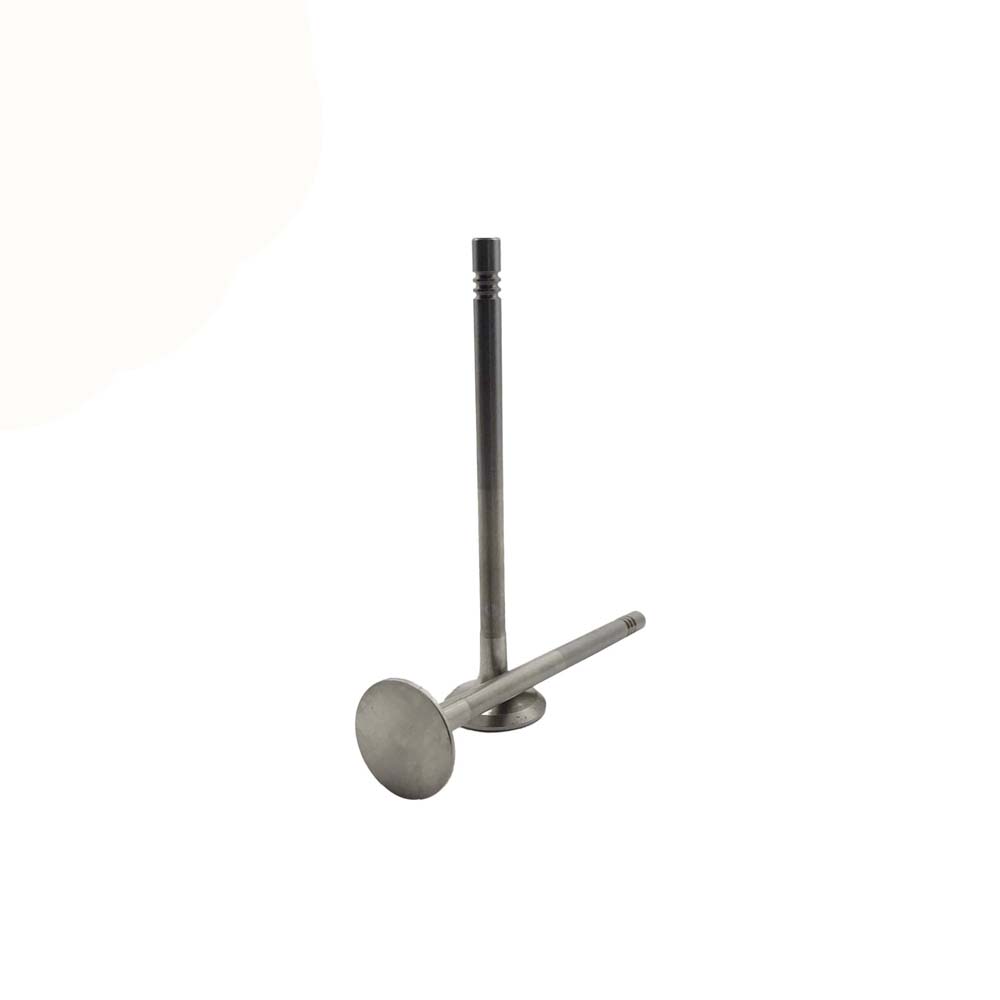 Exhaust Valve Apply to Benz W274 Engine(8PCS/Set)   OE  270 050 4400