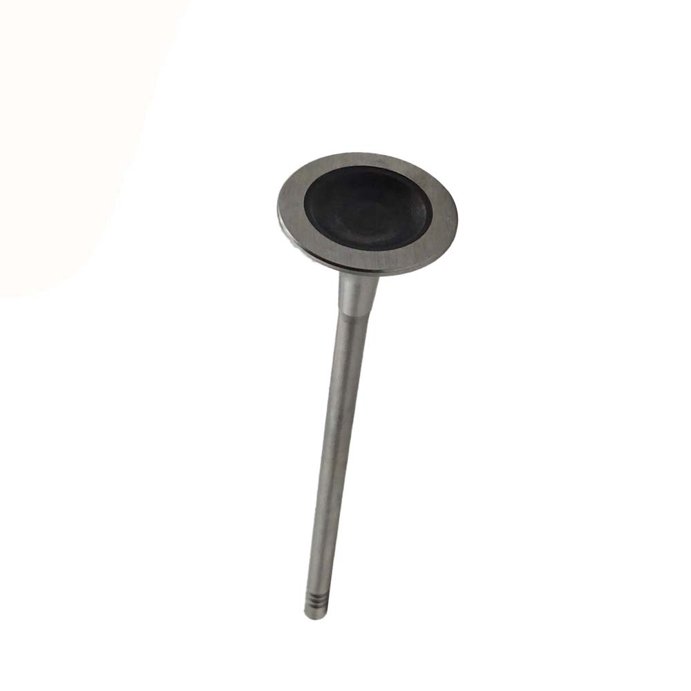 Exhaust Valve Apply to Bmw N14 Engine(8PCS/Set)   OE  1134 7547 187