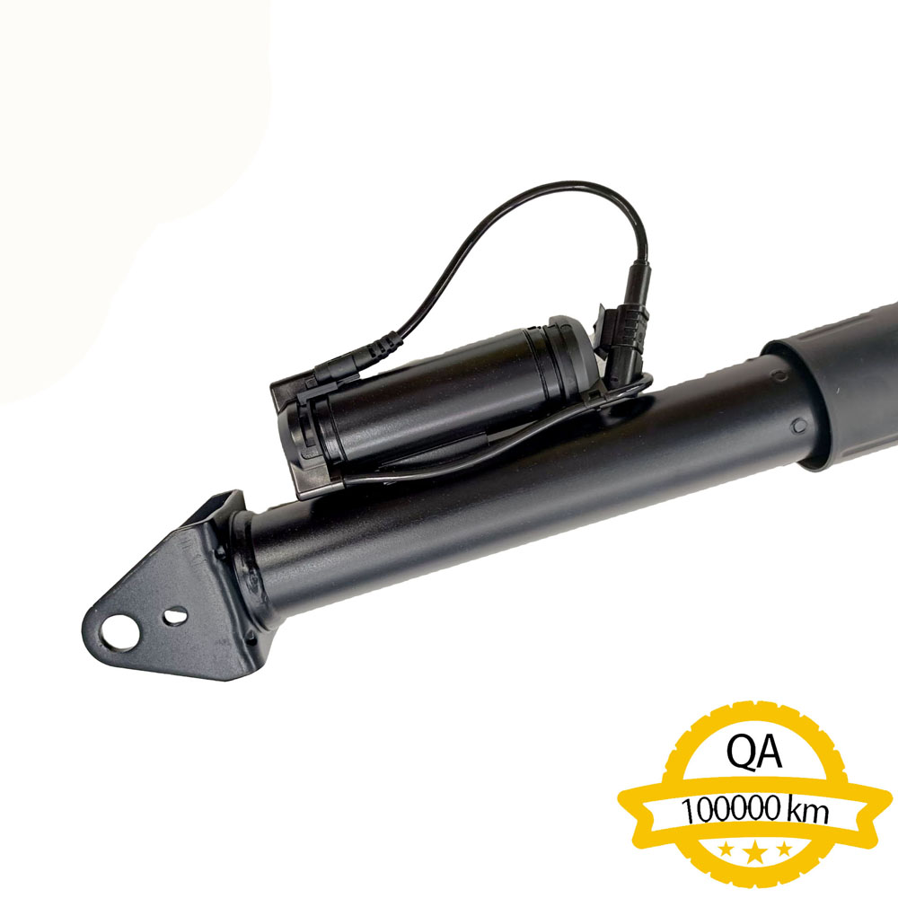 Shock Absorber Apply to Benz W251 2006-2019   OE  251 320 1431