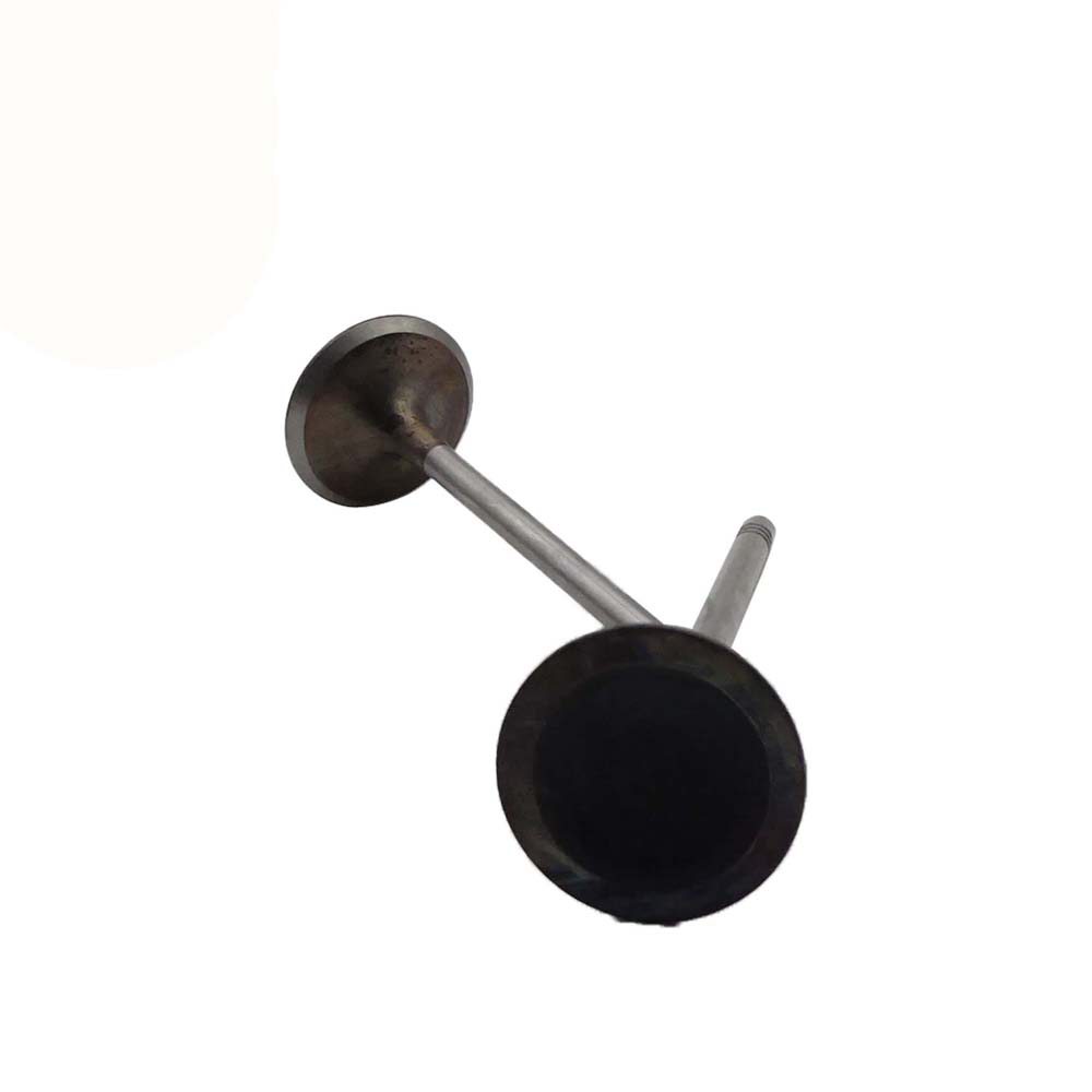 Intake Valve Apply to Bmw N13 Engine(8PCS/Set)   OE  1134 7585 901