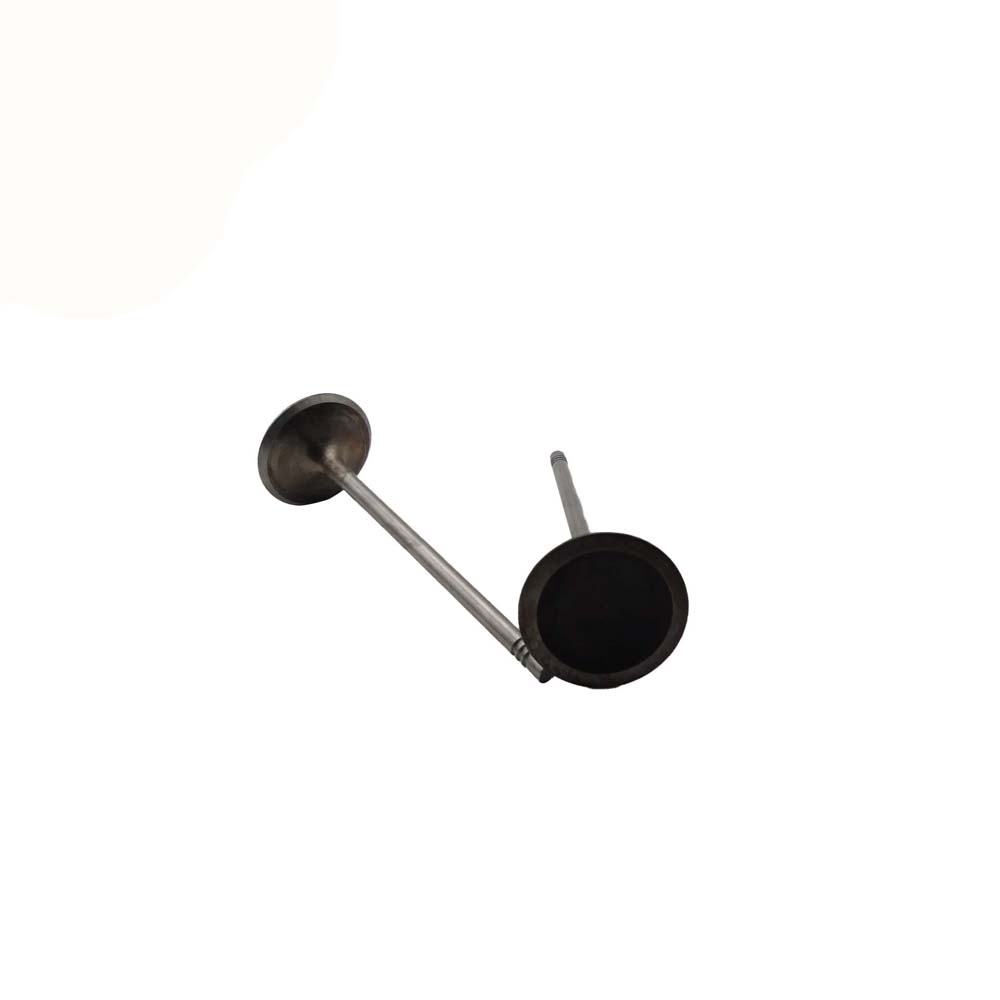 Intake Valve Apply to Bmw N52 Engine(8PCS/Set)   OE  1134 7553 771