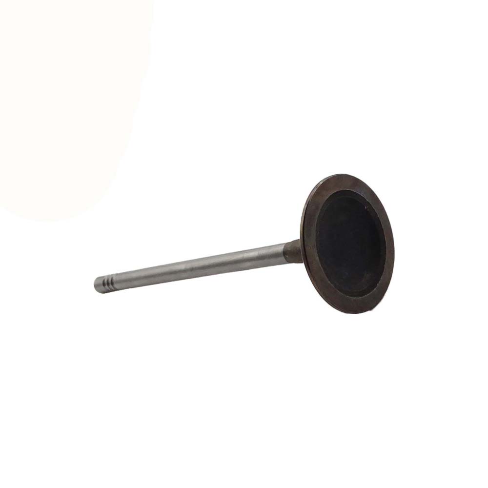 Intake Valve Apply to Bmw N13 Engine(8PCS/Set)   OE  1134 7585 901