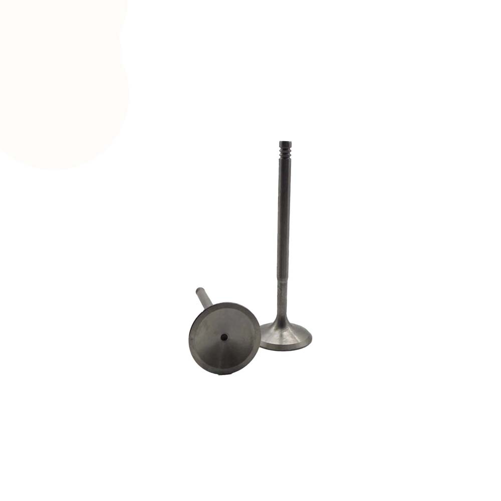 Intake Valve Apply to Bmw N46 Engine(8PCS/Set)   OE  1134 1440 304