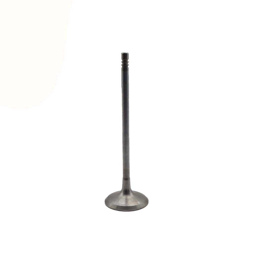 Intake Valve Apply to Bmw N20 Engine(8PCS/Set)   OE  1134 7583 779